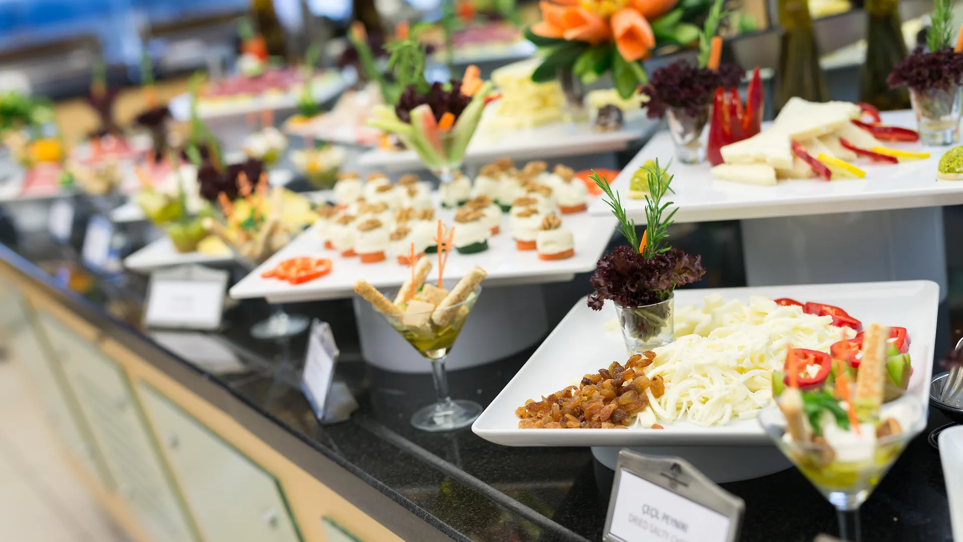 *****  Metropolitan Hotels אנקרה טורקיה